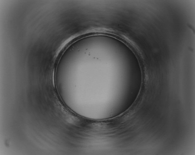 X0000101981272200807181116