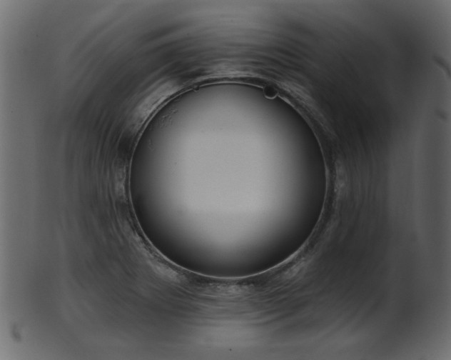 X0000101981273200807181116