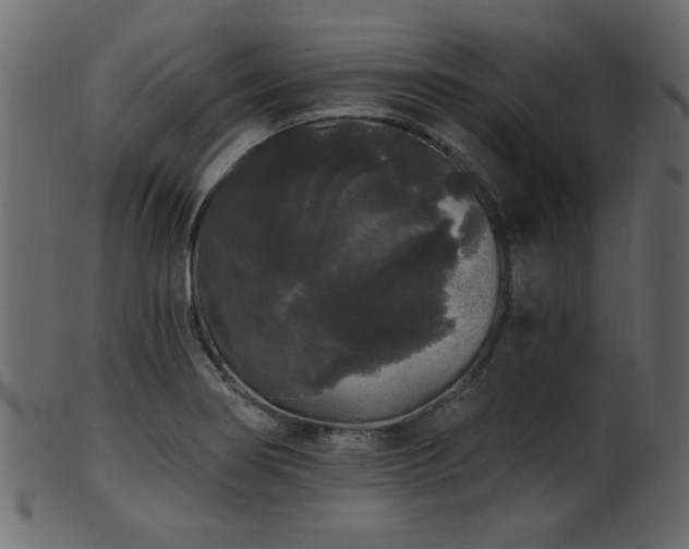 X0000101981274200807181116