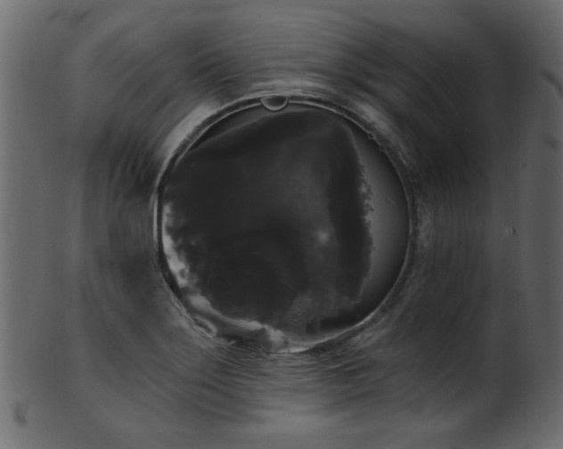 X0000101981275200807181116