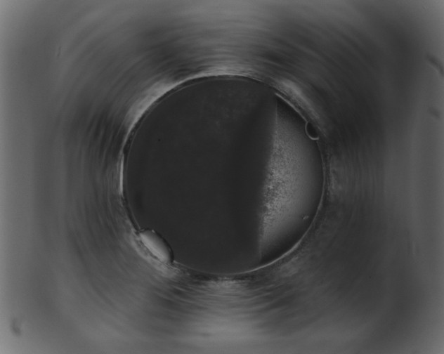 X0000101981276200807181116