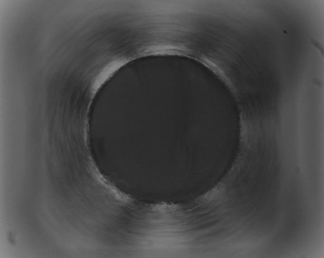 X0000101981277200807181116