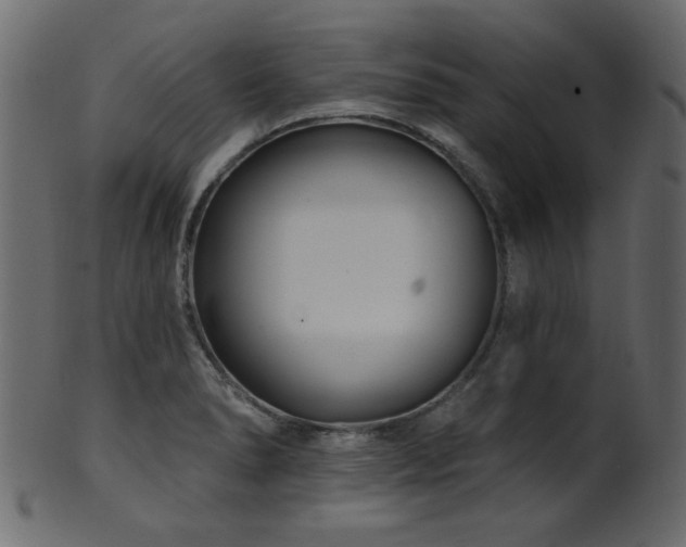 X0000101981278200807181116