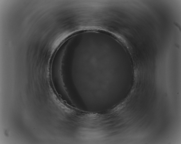 X0000101981279200807181116