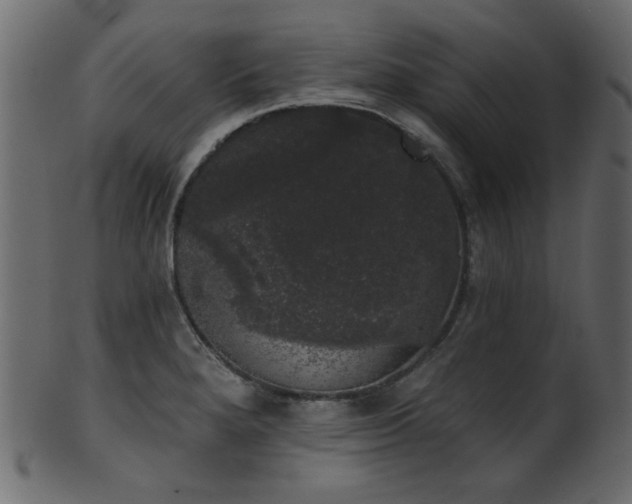 X0000101981280200807181116