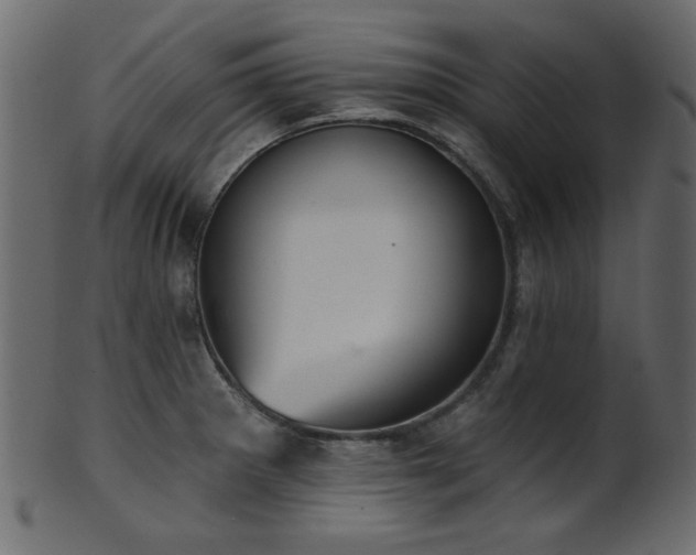 X0000101981281200807181116