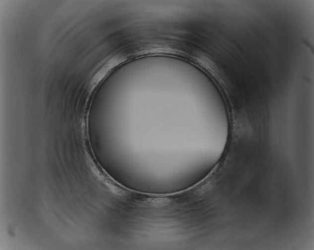 X0000101981282200807181116