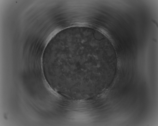 X0000101981283200807181116