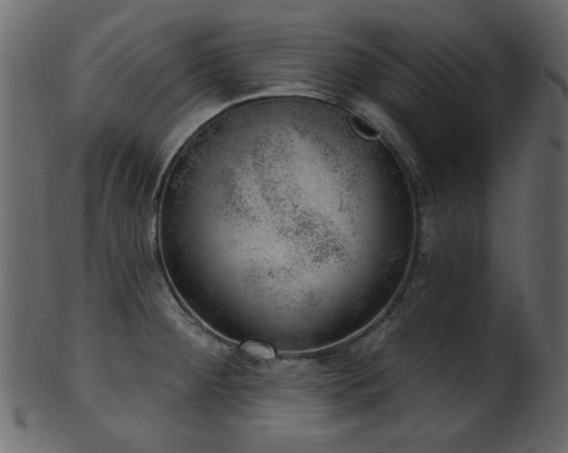 X0000101981284200807181116