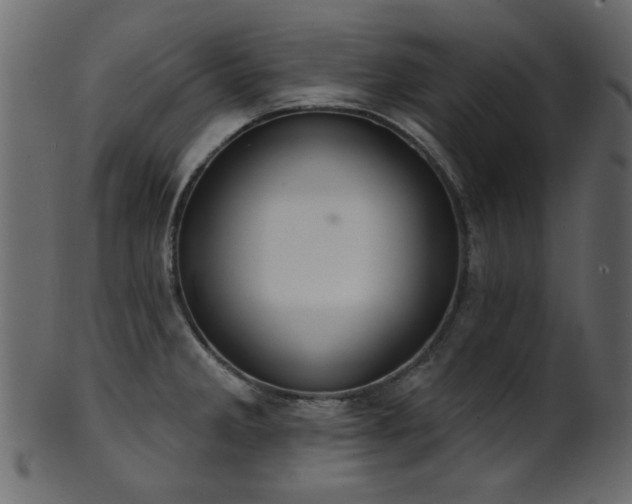 X0000101981285200807181116