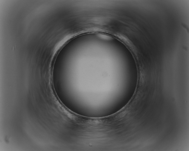 X0000101981286200807181116