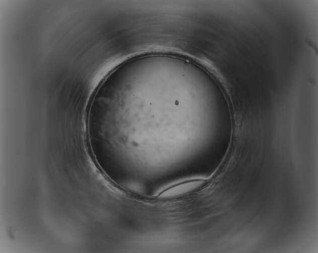 X0000101981287200807181116