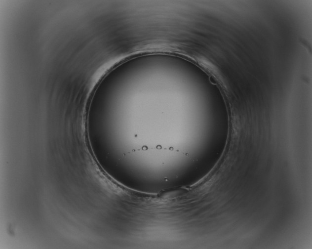 X0000101981288200807181116