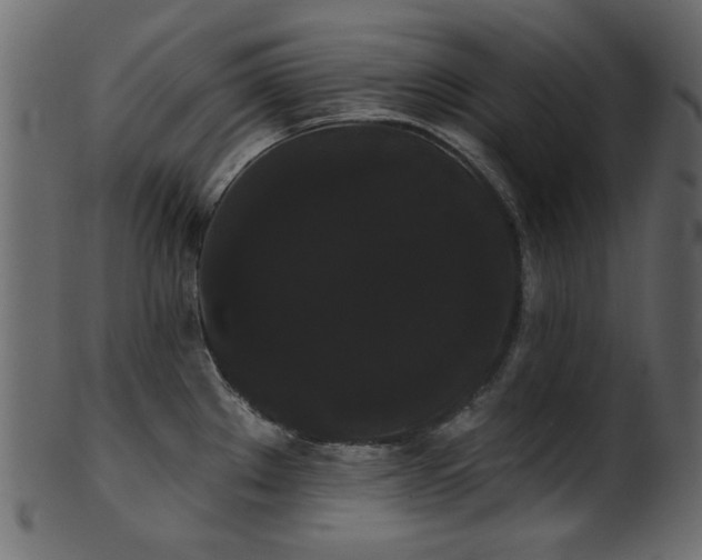 X0000101981289200807181116