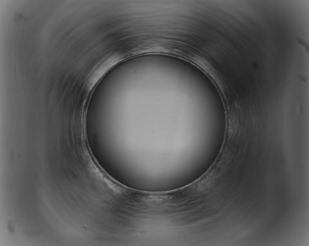 X0000101981290200807181116