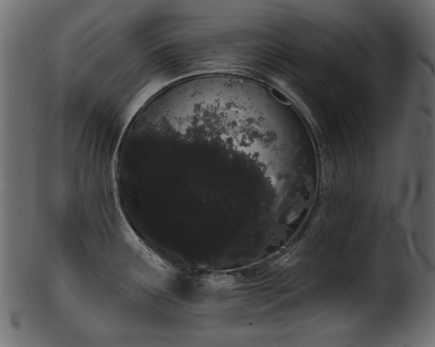 X0000101981291200807181116