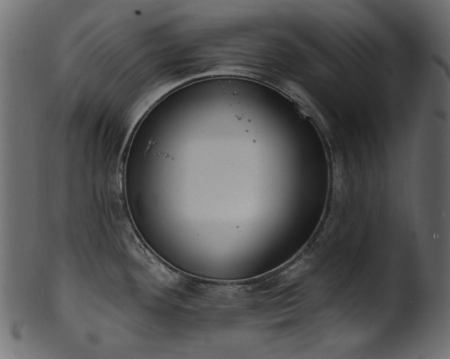 X0000101981292200807181116