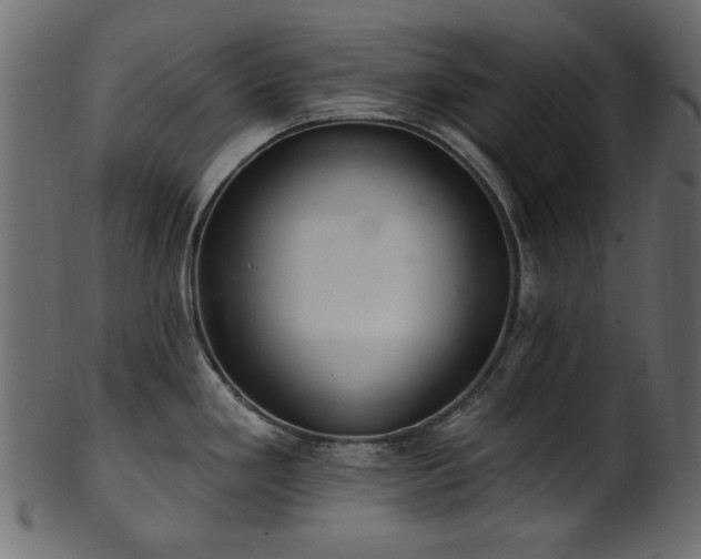 X0000101981293200807181116