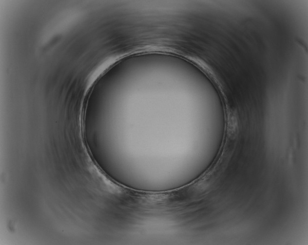 X0000101981294200807181116