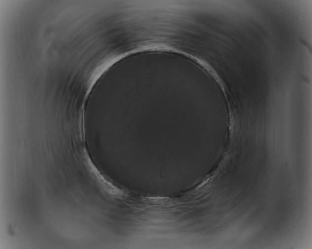 X0000101981295200807181116