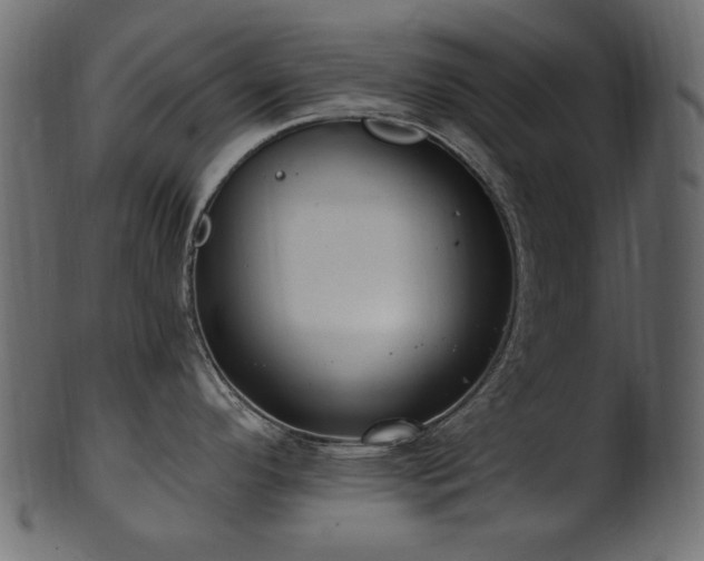 X0000101981296200807181116