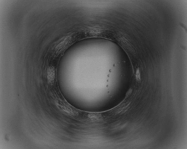 X0000101981299200807181115