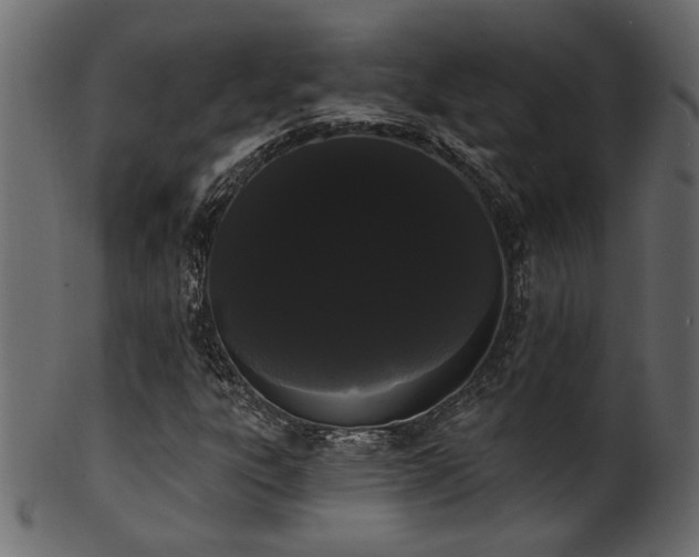 X0000101981303200807181115