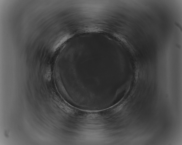 X0000101981306200807181115