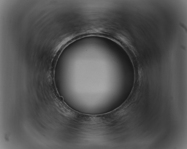 X0000101981308200807181115