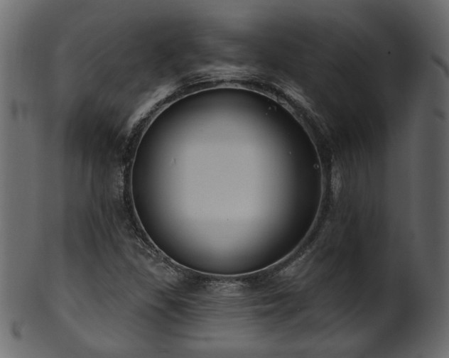 X0000101981309200807181115