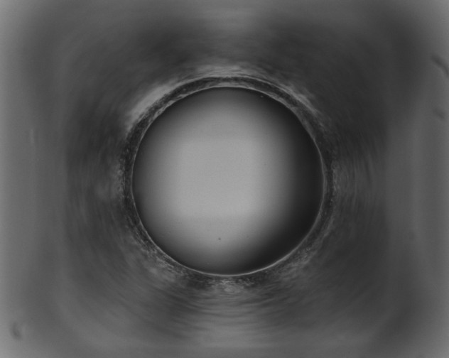 X0000101981311200807181115