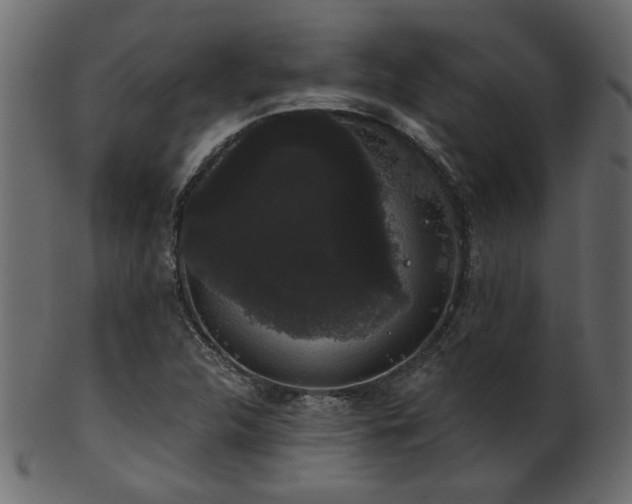 X0000101981312200807181115