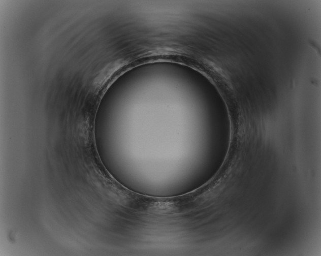 X0000101981313200807181115