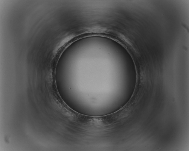 X0000101981315200807181115