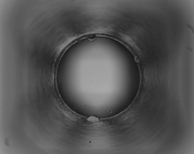 X0000101981316200807181115