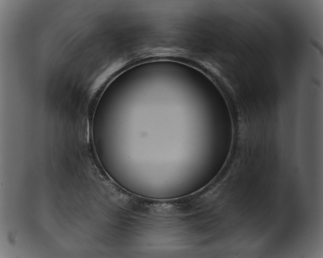 X0000101981317200807181115