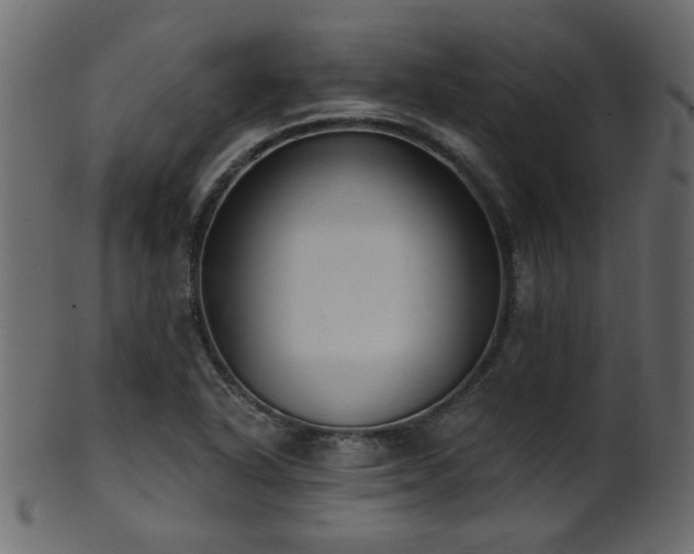 X0000101981318200807181116