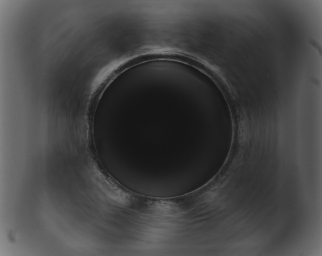 X0000101981319200807181116