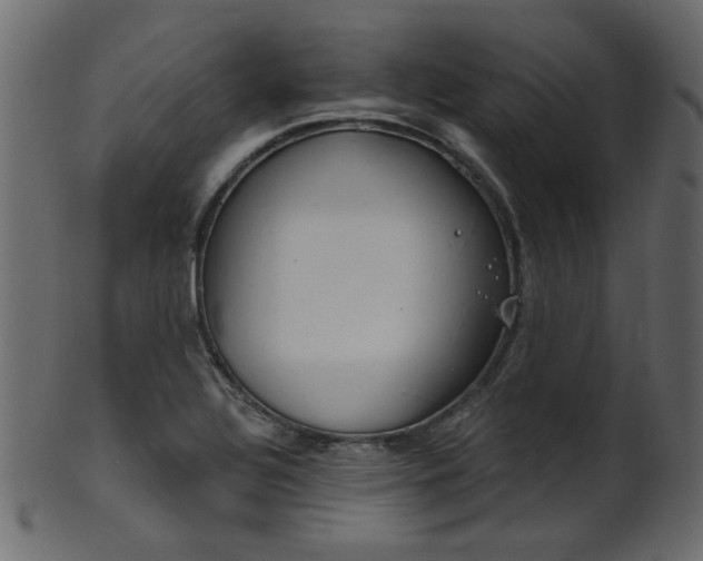 X0000101981320200807181116