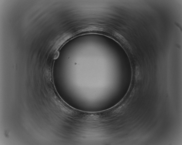 X0000101981321200807181116