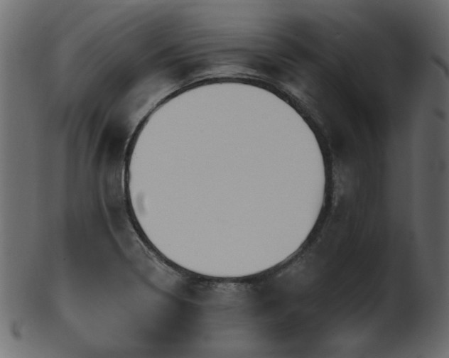 X0000101981322200807181116