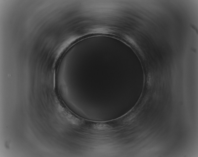 X0000101981323200807181116