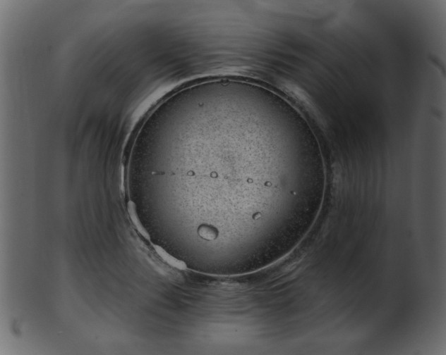 X0000101981324200807181116