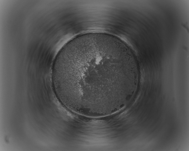 X0000101981325200807181116