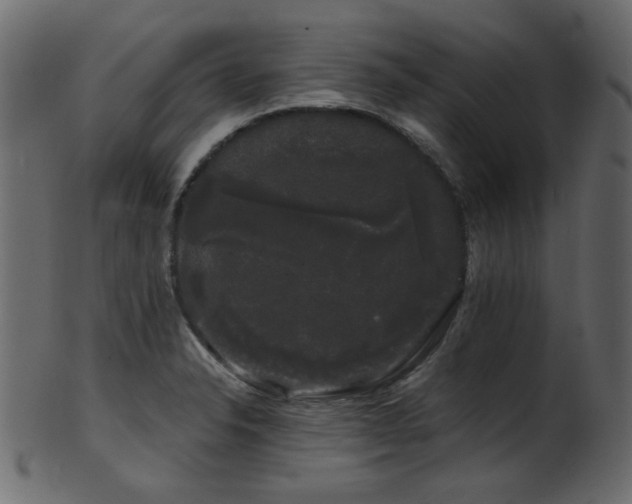 X0000101981326200807181116