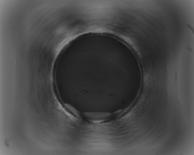 X0000101981327200807181116