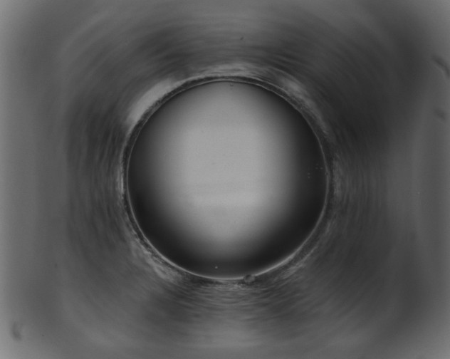 X0000101981328200807181116