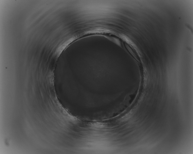 X0000101981329200807181116