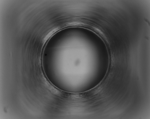 X0000101981330200807181116