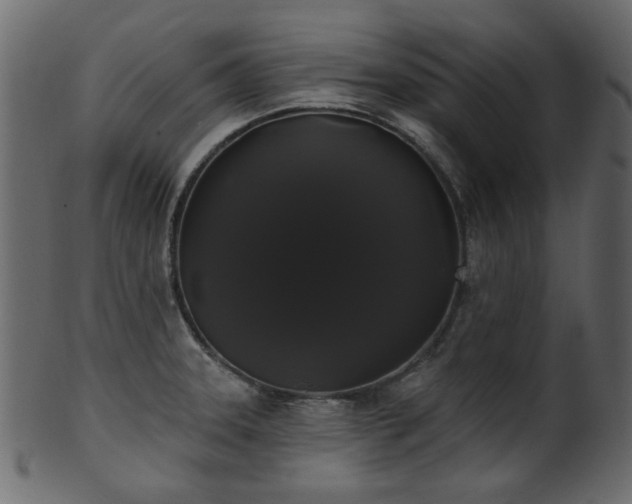 X0000101981331200807181116